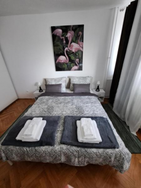 Studio apartman Flamingo